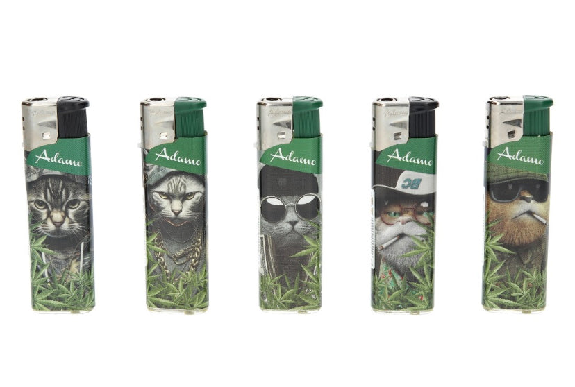 BRIQUET TEMPÊTE