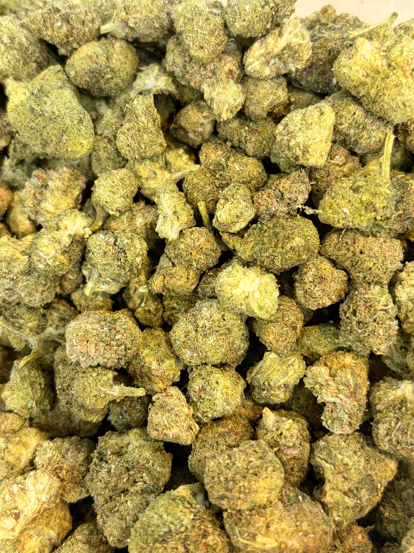 VEGA Fleur Néo-cannabinoïde | Indoor