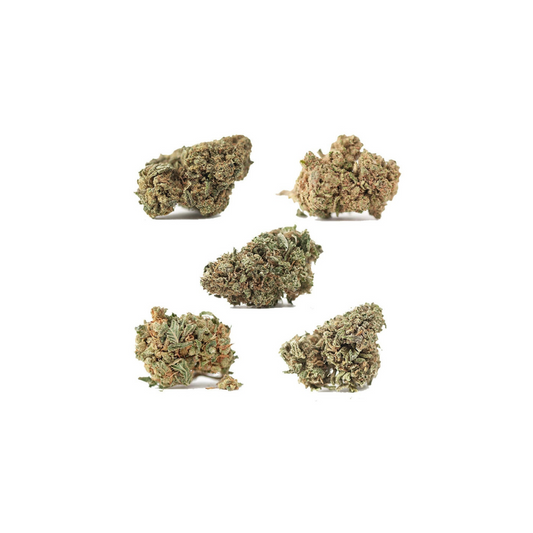 FRUITE/SUCRE CBD 10g