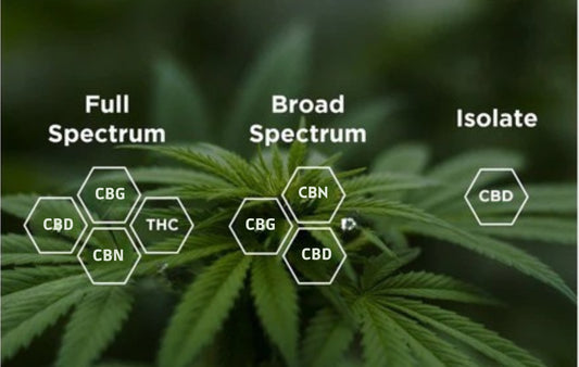 CONNAITRE LA DIFFÉRENCE ENTRE BROAD SPECTRUM, FULL SPECTRUM, ISOLAT ET BIEN CHOISIR SON HUILE