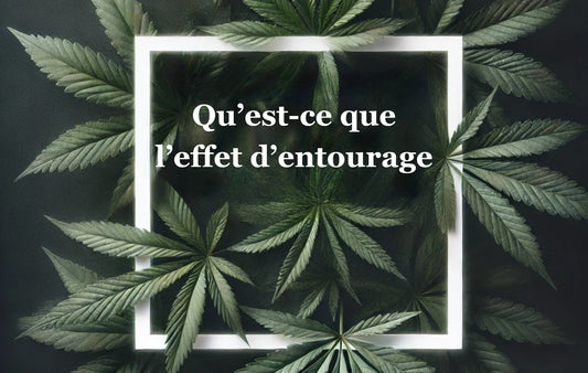 L’EFFET D'ENTOURAGE: MYTHE MARKETING OU FAIT SCIENTIFIQUE?