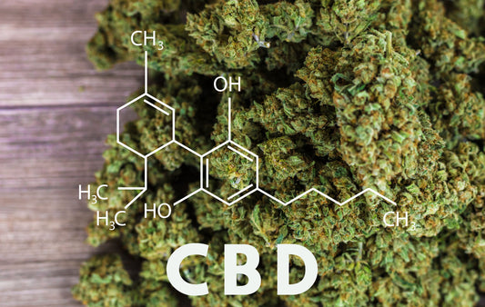 LE CBD, C’EST QUOI ?