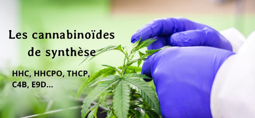 LES CANNABINOÏDES DE SYNTHESE