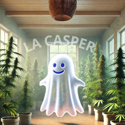 LA CASPER 20% 10-OH-HHC