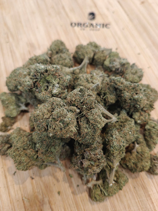 ICE CREAM CAKE Fleur CBD Premium| Indoor