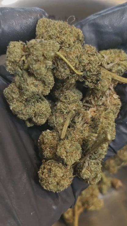 DANNY KUSH (Puissance et goût!)