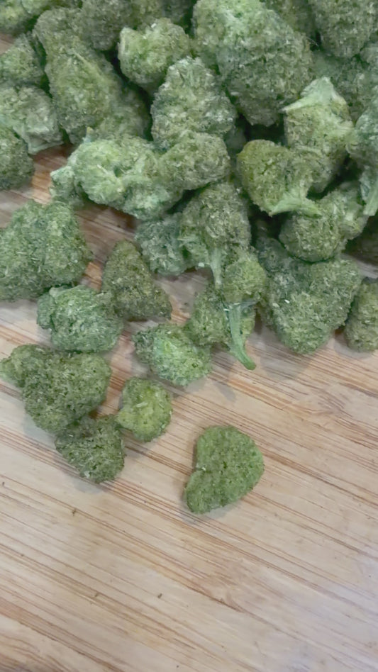 VEGA - Small Bud ( BLACK IMPACT )