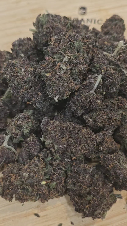 PURPLE DIESEL Fleur CBD Premium| Indoor