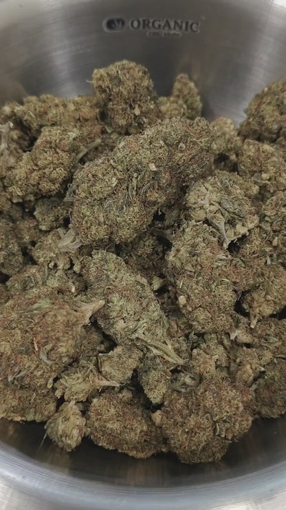 SEXY CHERRY Fleur Néo-Cannabinoïde | Indoor
