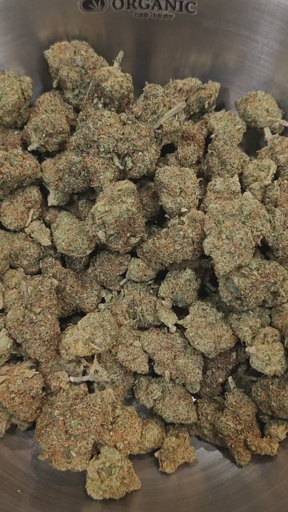 BLUEBERRY Fleur Néo-Cannabinoïde | Indoor