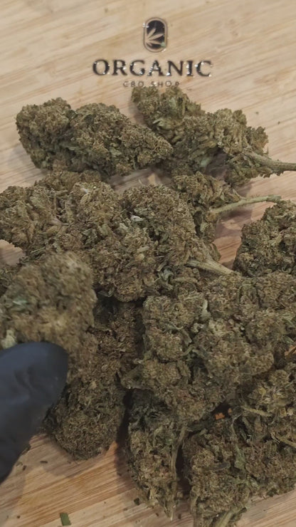 Silver Haze Fleur CBD | Sol Vivant