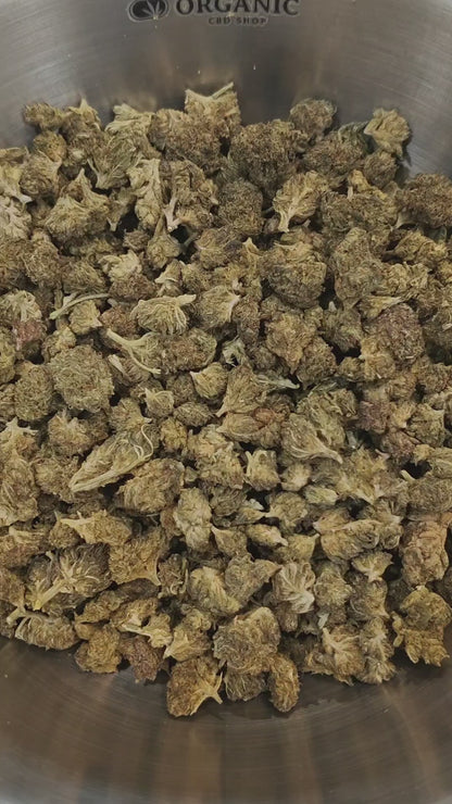 AMNESIA Small Bud - Fleur Néo-cannabinoïde | Indoor