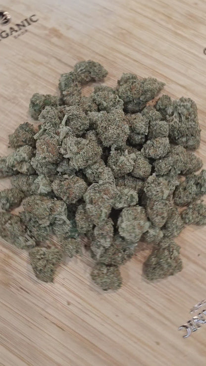 LEGENDARY SKUNK